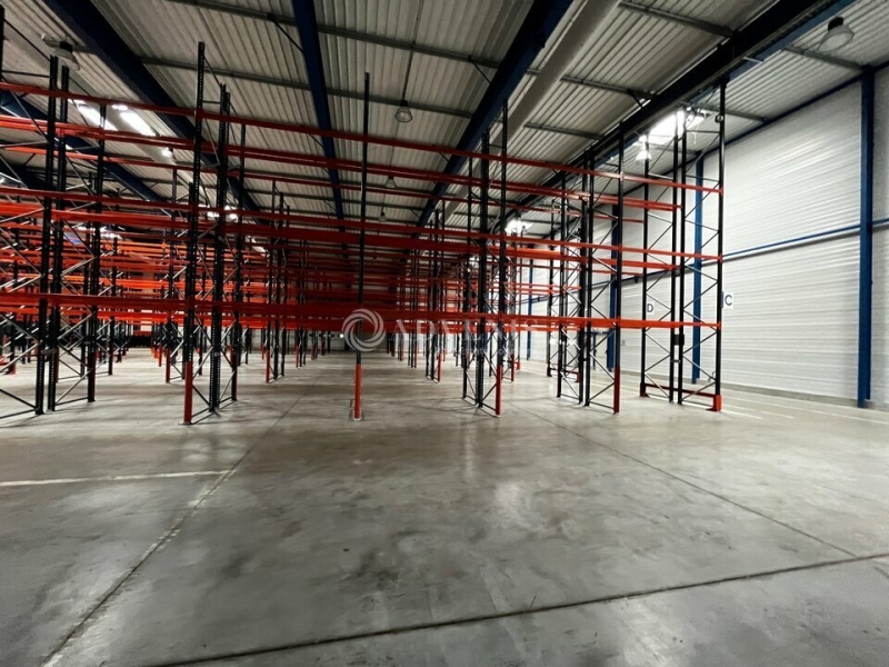 Location Entrepôts OSTWALD (67540) - Photo 5