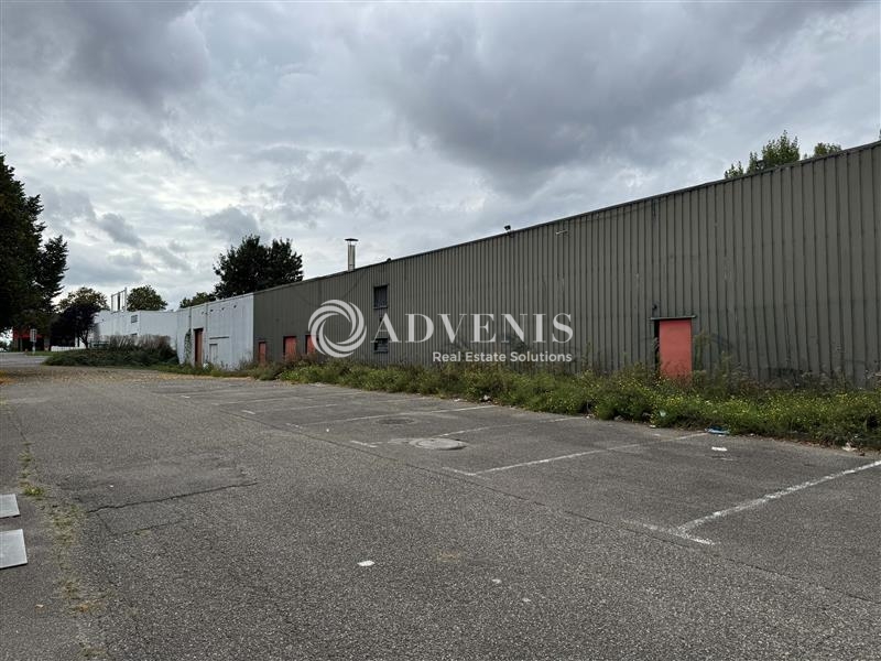 Location Commerces VENDENHEIM (67550) - Photo 6