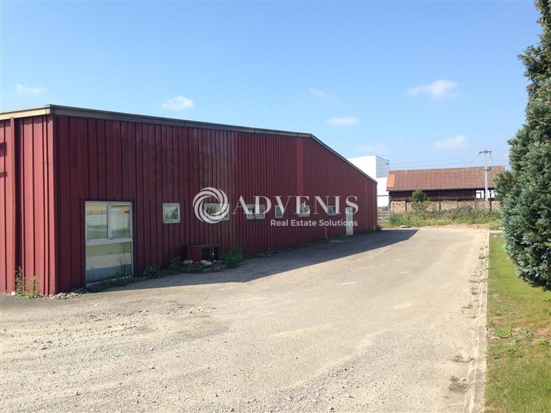 Vente Utilisateur Activités Entrepôts ERSTEIN (67150) - Photo 2