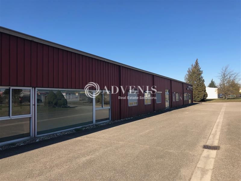 Vente Utilisateur Activités Entrepôts ERSTEIN (67150) - Photo 3