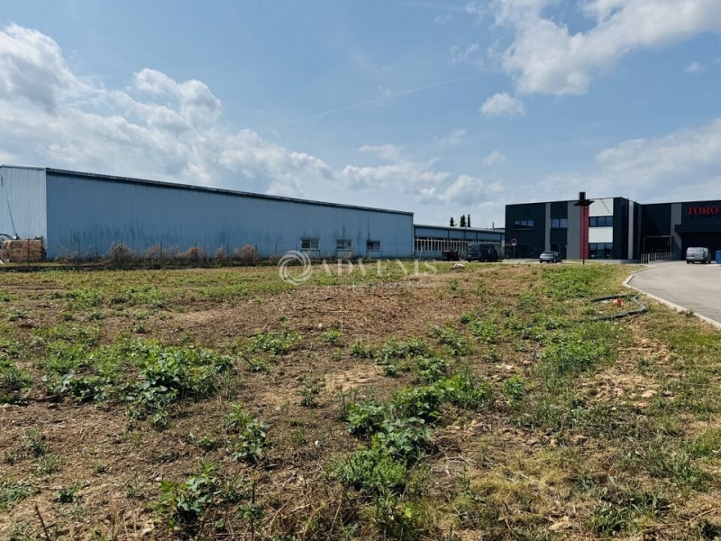 Location Terrain DUPPIGHEIM (67120) - Photo 3