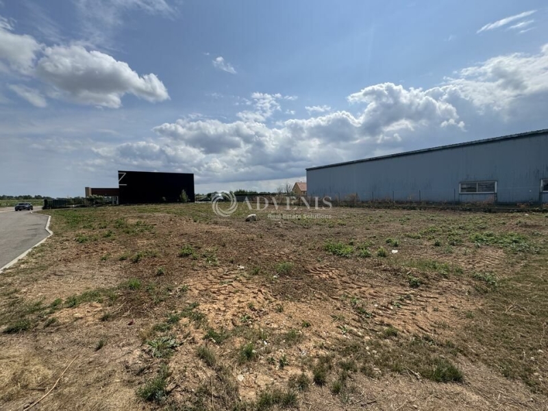 Location Terrain DUPPIGHEIM (67120) - Photo 4