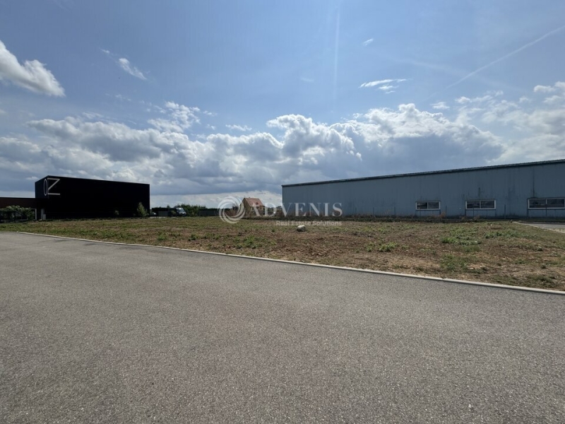 Location Terrain DUPPIGHEIM (67120) - Photo 5