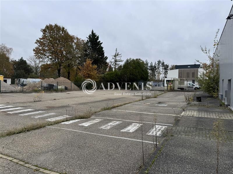 Location Activités Entrepôts SCHWEIGHOUSE SUR MODER (67590) - Photo 10