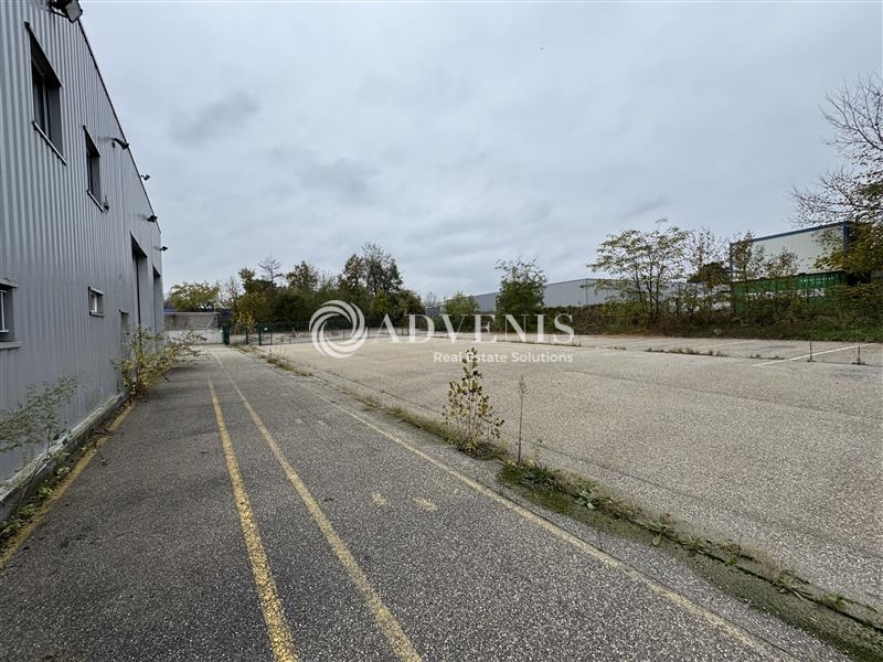 Location Activités Entrepôts SCHWEIGHOUSE SUR MODER (67590) - Photo 8