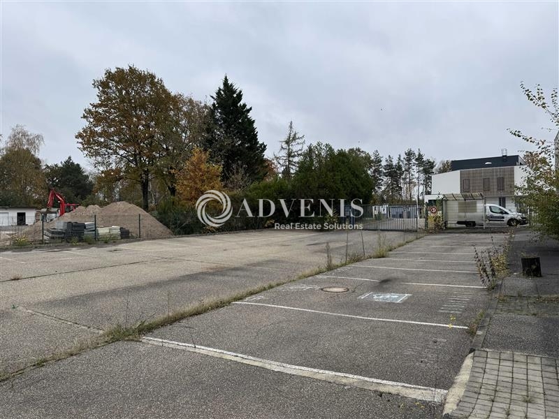 Location Activités Entrepôts SCHWEIGHOUSE SUR MODER (67590) - Photo 9