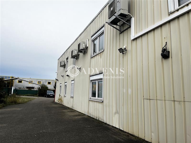 Vente Utilisateur Activités Entrepôts MUNDOLSHEIM (67450) - Photo 2