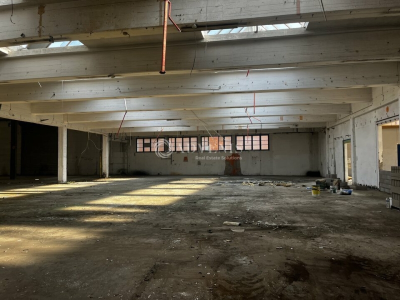 Vente Investisseur Activités Entrepôts STRASBOURG (67100) - Photo 8