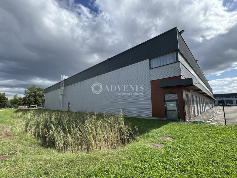 Location Activités Entrepôts STRASBOURG (67200) - Photo 5