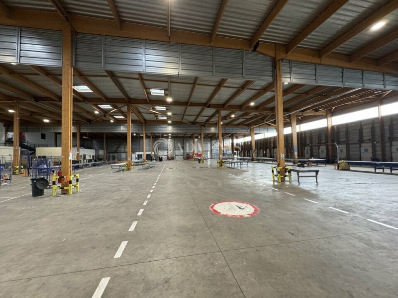 Location Activités Entrepôts STRASBOURG (67200) - Photo 9