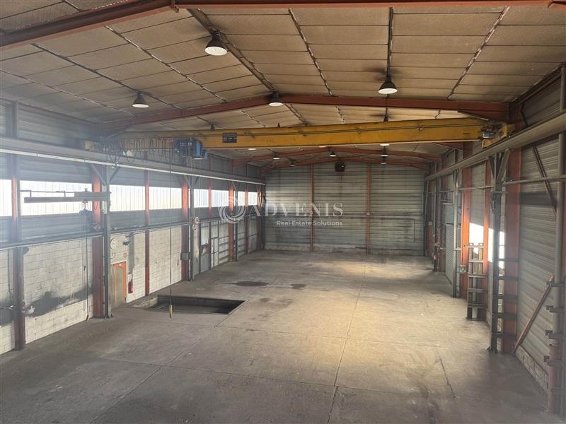 Location Activités Entrepôts ILLKIRCH GRAFFENSTADEN (67400) - Photo 4