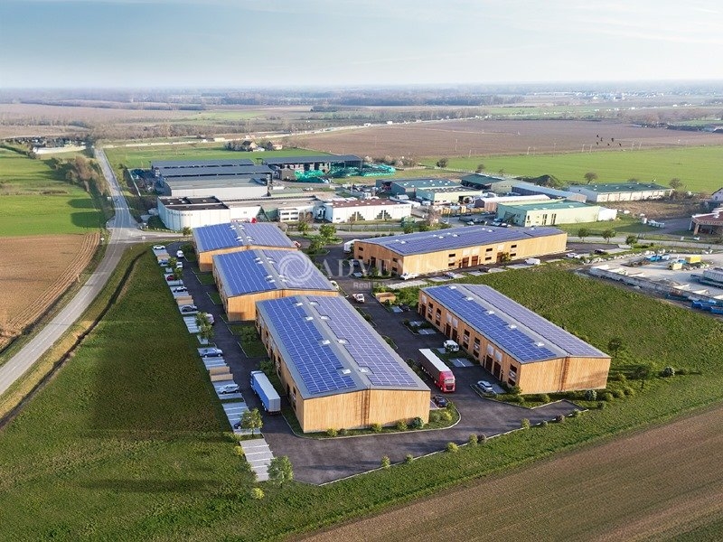 Vente Utilisateur Activités Entrepôts SAINT HIPPOLYTE (68590) - Photo 1