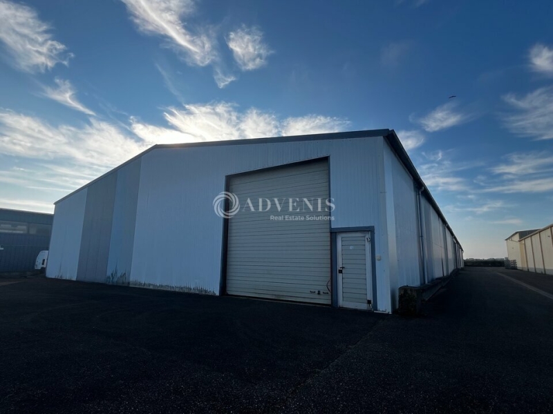 Vente Investisseur Activités Entrepôts DUTTLENHEIM (67120) - Photo 1