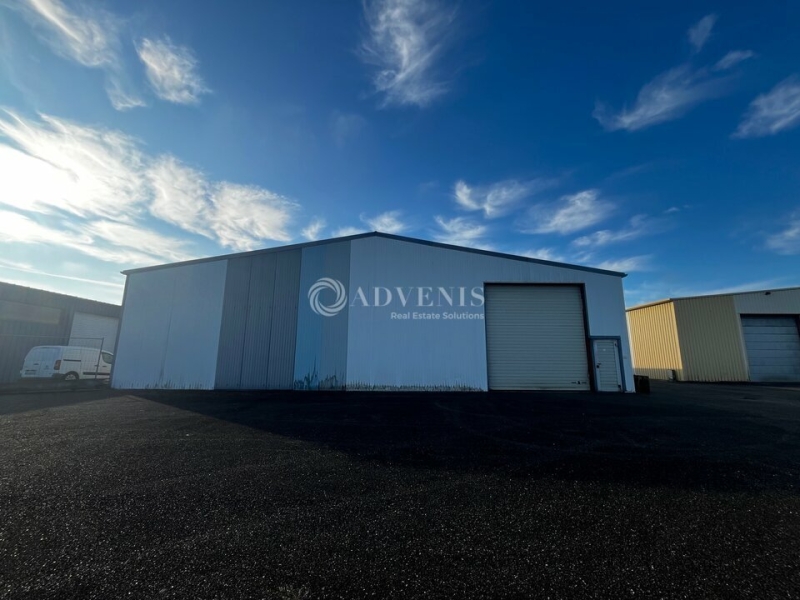 Vente Investisseur Activités Entrepôts DUTTLENHEIM (67120) - Photo 2