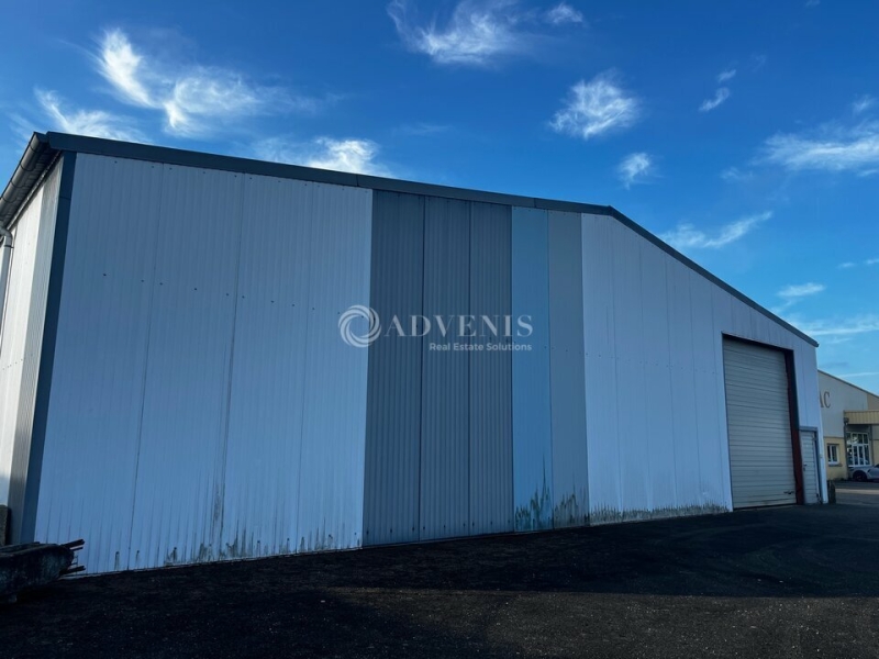 Vente Investisseur Activités Entrepôts DUTTLENHEIM (67120) - Photo 9