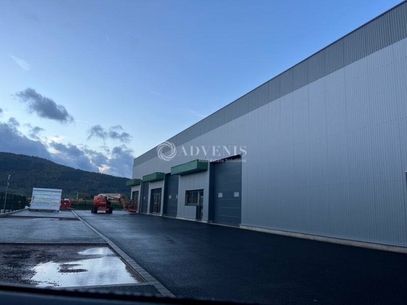 Location Activités Entrepôts SCHERWILLER (67750) - Photo 3