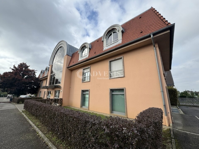 Location Commerces REICHSTETT (67116) - Photo 2