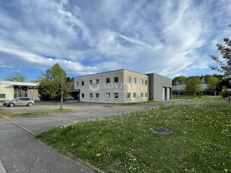 Vente Investisseur Activités Entrepôts ECKBOLSHEIM (67201) - Photo 1
