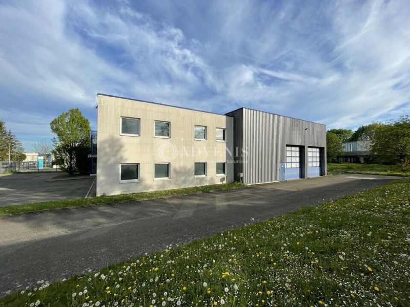 Vente Investisseur Activités Entrepôts ECKBOLSHEIM (67201) - Photo 2