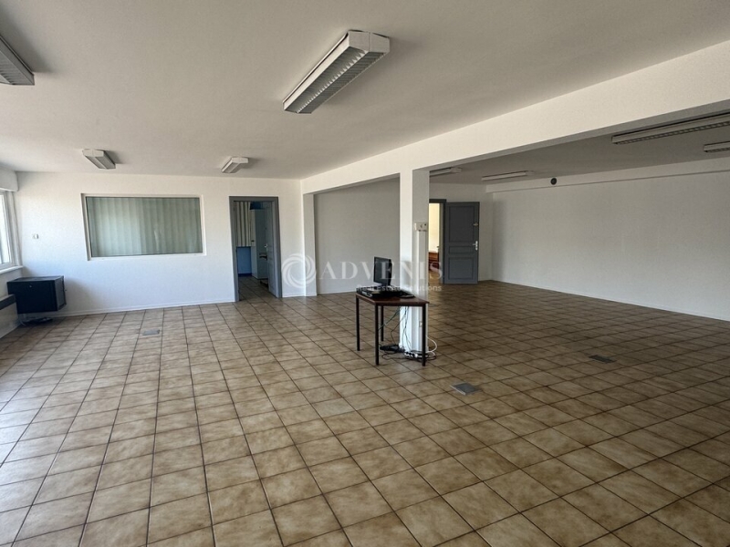 Vente Investisseur Activités Entrepôts REICHSTETT (67116) - Photo 5