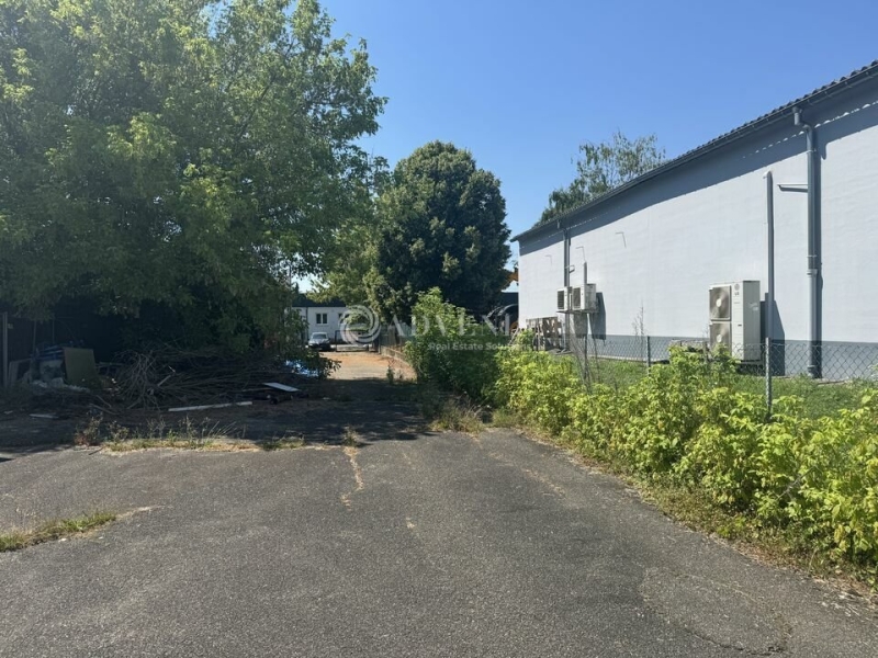 Vente Investisseur Terrain WOLFISHEIM (67202) - Photo 1