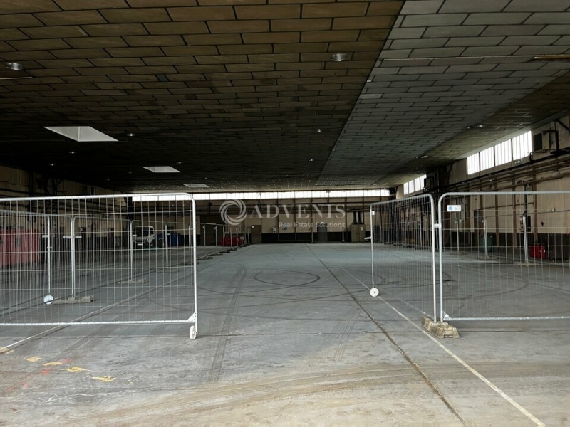 Location Activités Entrepôts ENTZHEIM (67960) - Photo 3