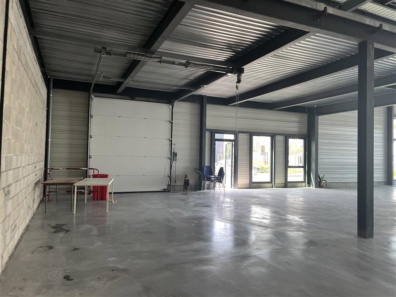 Vente Investisseur Activités Entrepôts OSTWALD (67540) - Photo 6