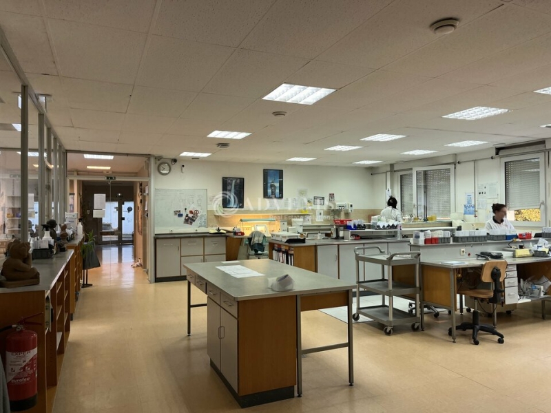 Vente Investisseur Bureaux MOLSHEIM (67120) - Photo 10