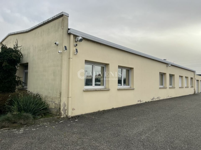 Vente Investisseur Bureaux MOLSHEIM (67120) - Photo 3