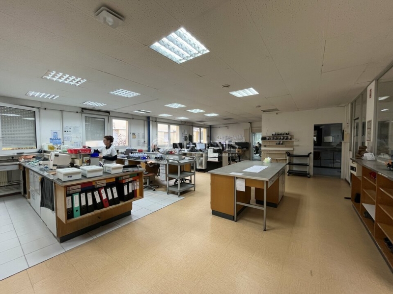 Vente Investisseur Bureaux MOLSHEIM (67120) - Photo 9