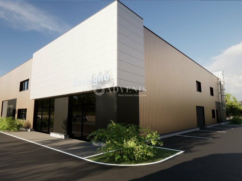 Vente Investisseur Activités Entrepôts REICHSTETT (67116) - Photo 4