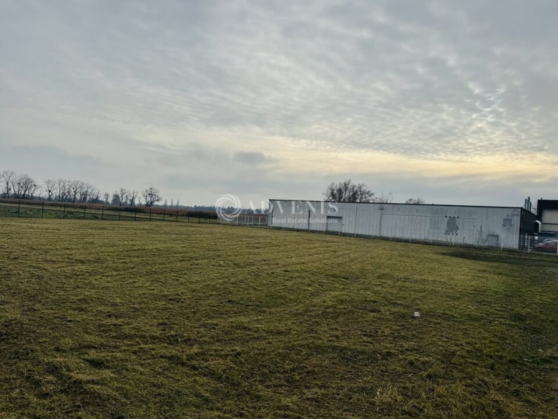 Location Commerces BRUMATH (67170) - Photo 9