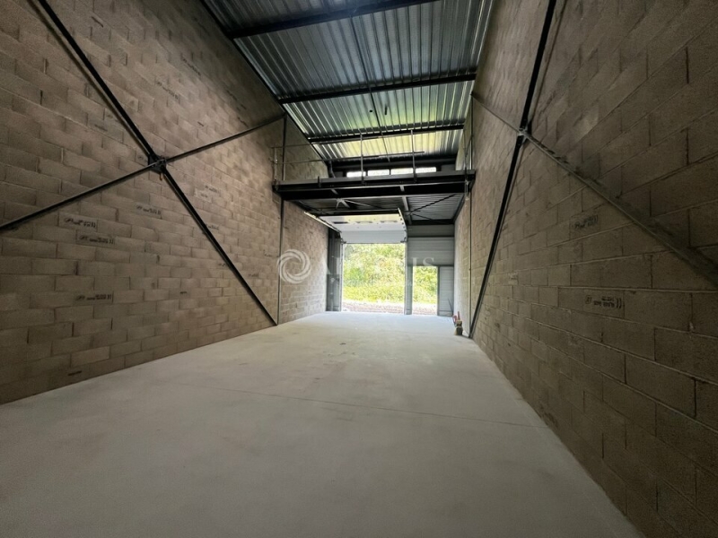 Location Activités Entrepôts BISCHHEIM (67800) - Photo 4