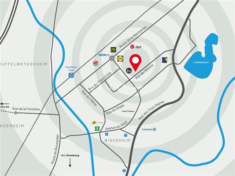 Location Activités Entrepôts BISCHHEIM (67800) - Photo 5