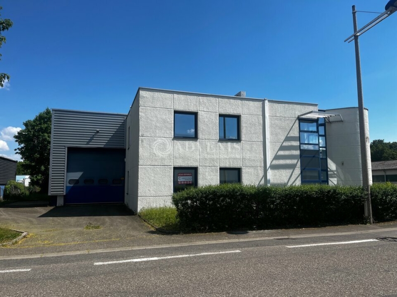 Vente Investisseur Activités Entrepôts FEGERSHEIM (67640) - Photo 2