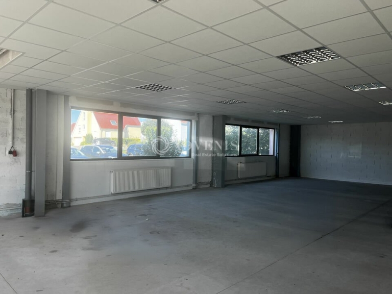 Location Bureaux et activités légères BISCHOFFSHEIM (67870) - Photo 9