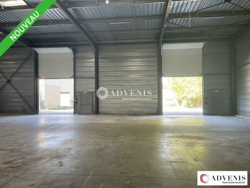 Location Activités Entrepôts BRUGES (33520) - Photo 5