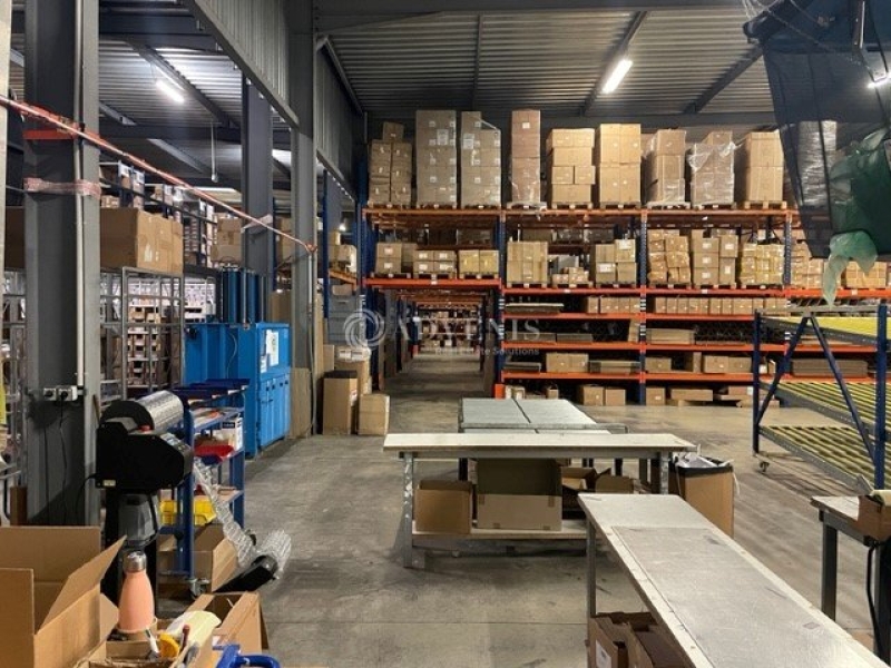 Location Activités Entrepôts BLANQUEFORT (33290) - Photo 5