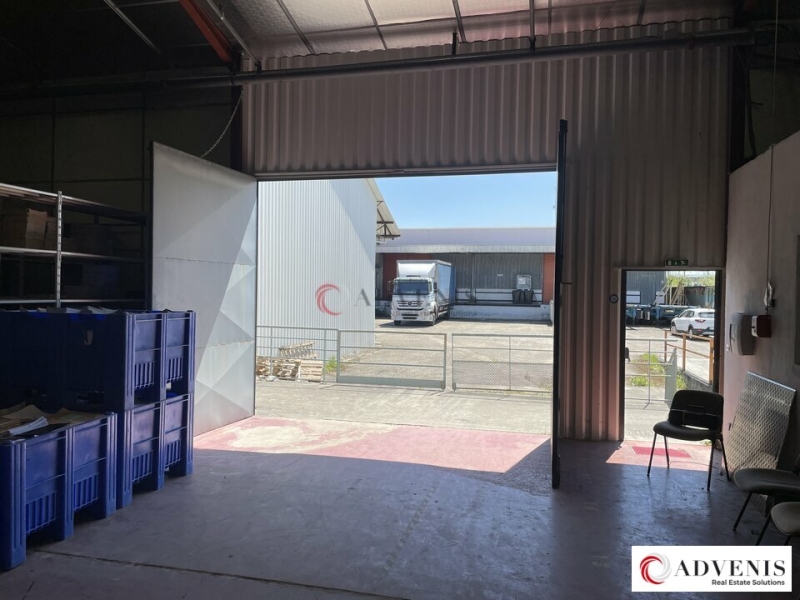 Location Activités Entrepôts VILLENAVE D'ORNON (33140) - Photo 5