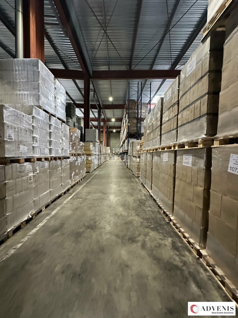 Vente Investisseur Activités Entrepôts AMBARÈS-ET-LAGRAVE (33440) - Photo 5