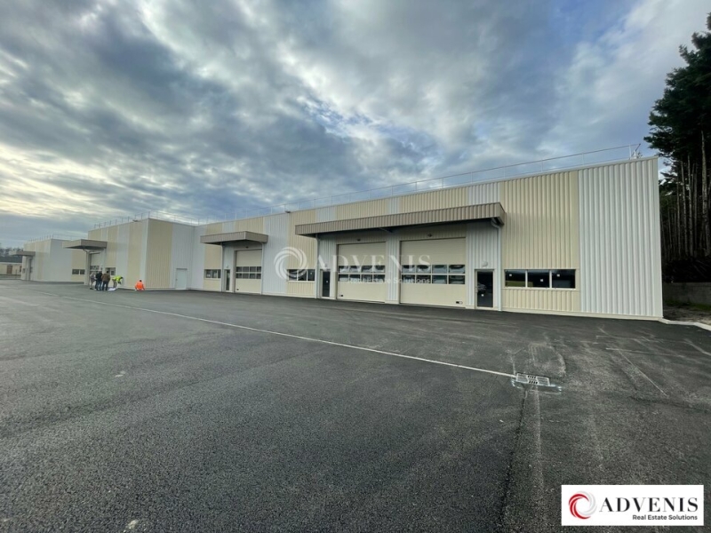 Location Activités Entrepôts BLANQUEFORT (33290) - Photo 5