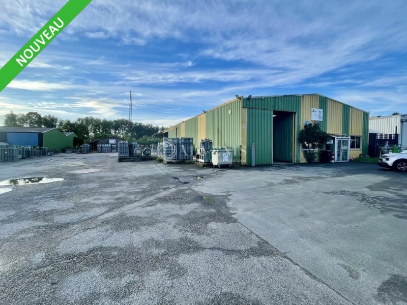 Vente Investisseur Activités Entrepôts CESTAS (33610) - Photo 1