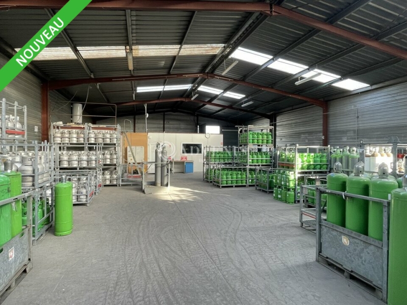 Vente Investisseur Activités Entrepôts CESTAS (33610) - Photo 8