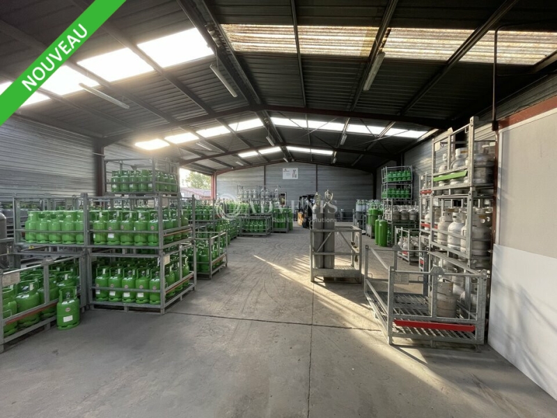 Vente Investisseur Activités Entrepôts CESTAS (33610) - Photo 9