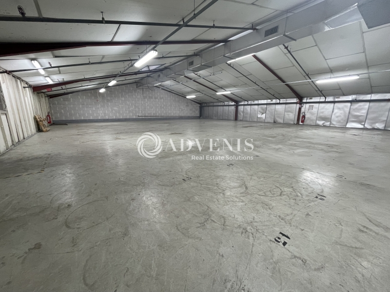 Location Activités Entrepôts VILLENAVE D'ORNON (33140) - Photo 4