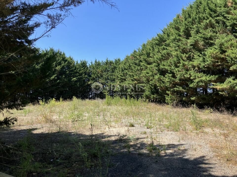 Vente Investisseur Terrain TROUY (18570) - Photo 1