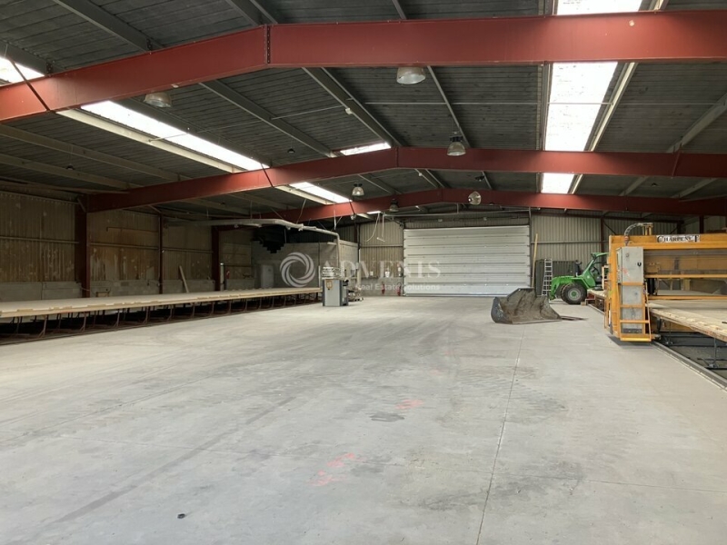 Vente Investisseur Activités Entrepôts FOËCY (18500) - Photo 3