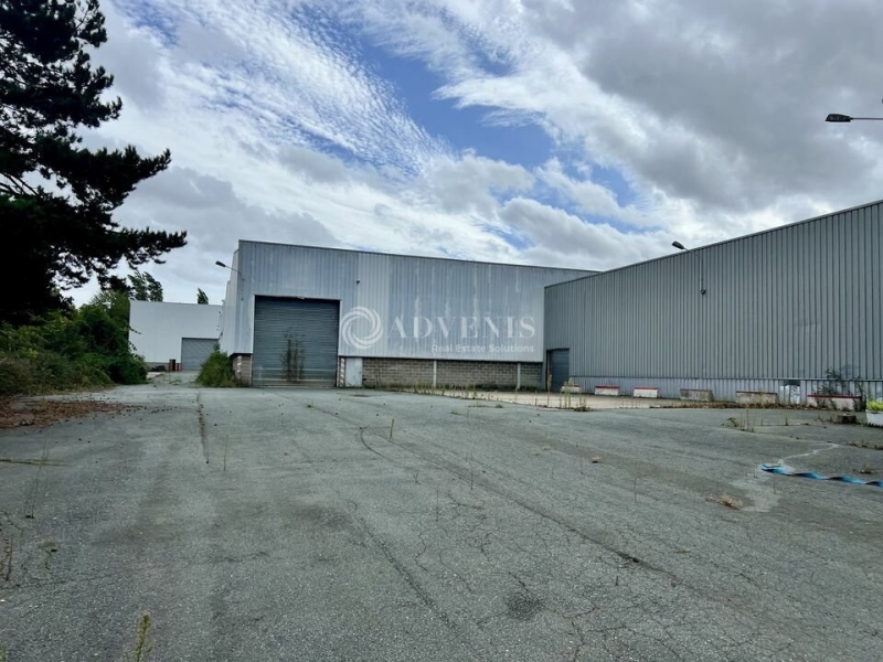 Location Entrepôts SAINT OUEN L'AUMONE (95310) - Photo 11