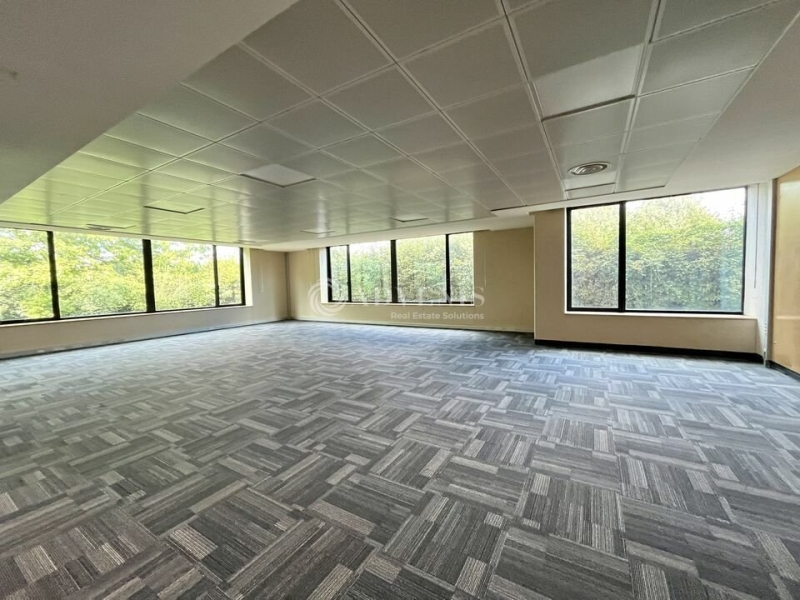 Location Bureaux LIEUSAINT (77127) - Photo 6