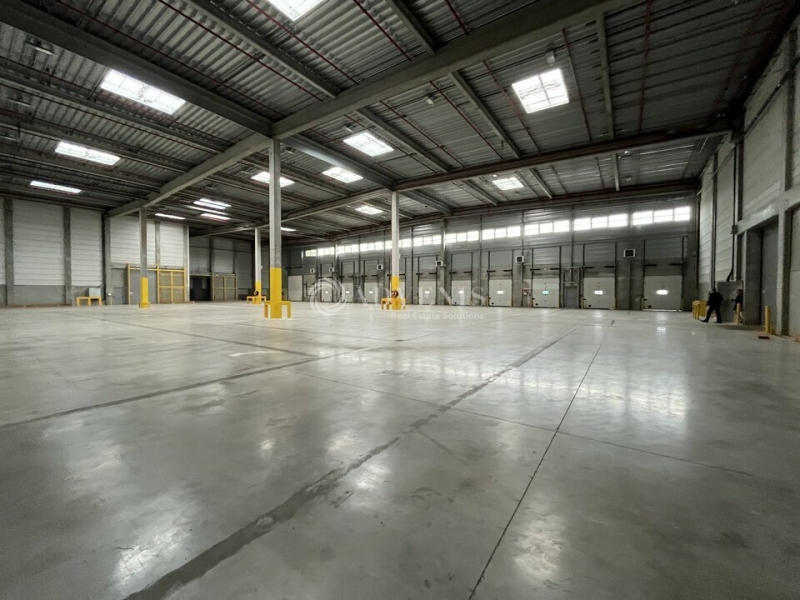 Location Entrepôts MOISSY CRAMAYEL (77550) - Photo 7